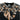 County Of Milan FELPE Nero
