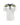 County Of Milan T-SHIRT Bianco