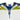 County Of Milan T-SHIRT Bianco