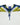 County Of Milan T-SHIRT Bianco