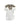 County Of Milan T-SHIRT Bianco