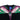 County Of Milan T-SHIRT Nero