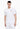 Ea7 Emporio Armani T-SHIRT Bianco