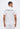 Ea7 Emporio Armani POLO Bianco