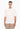 Ea7 Emporio Armani T-SHIRT Beige