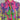Versace Jeans Couture FOULARD Multicolore